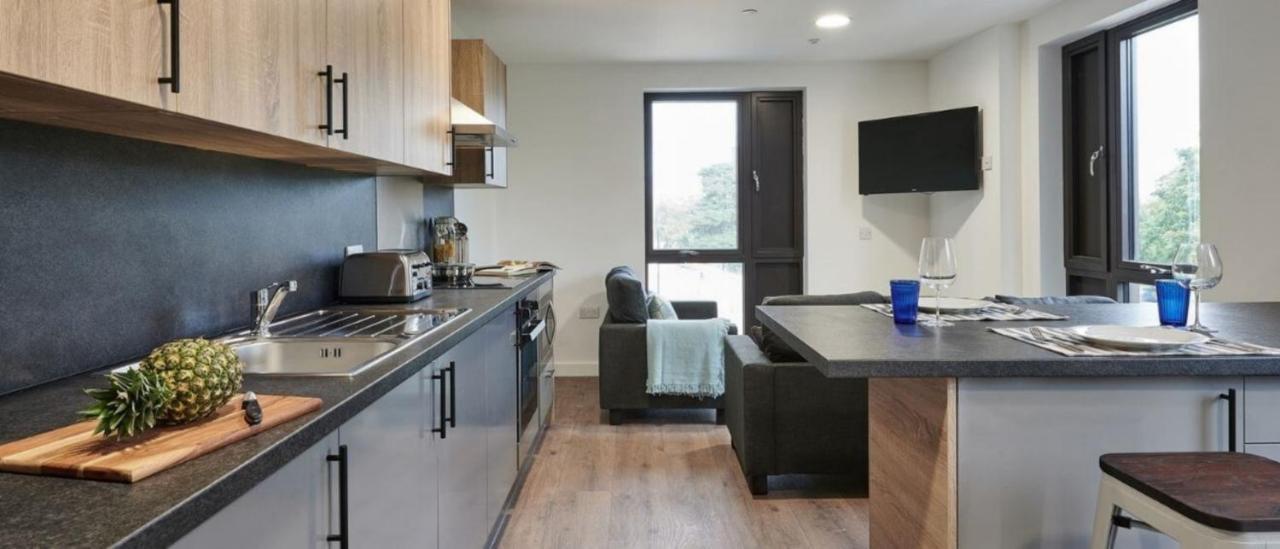 Modern Ensuite Rooms And Studios In Southampton - Sk Exteriör bild